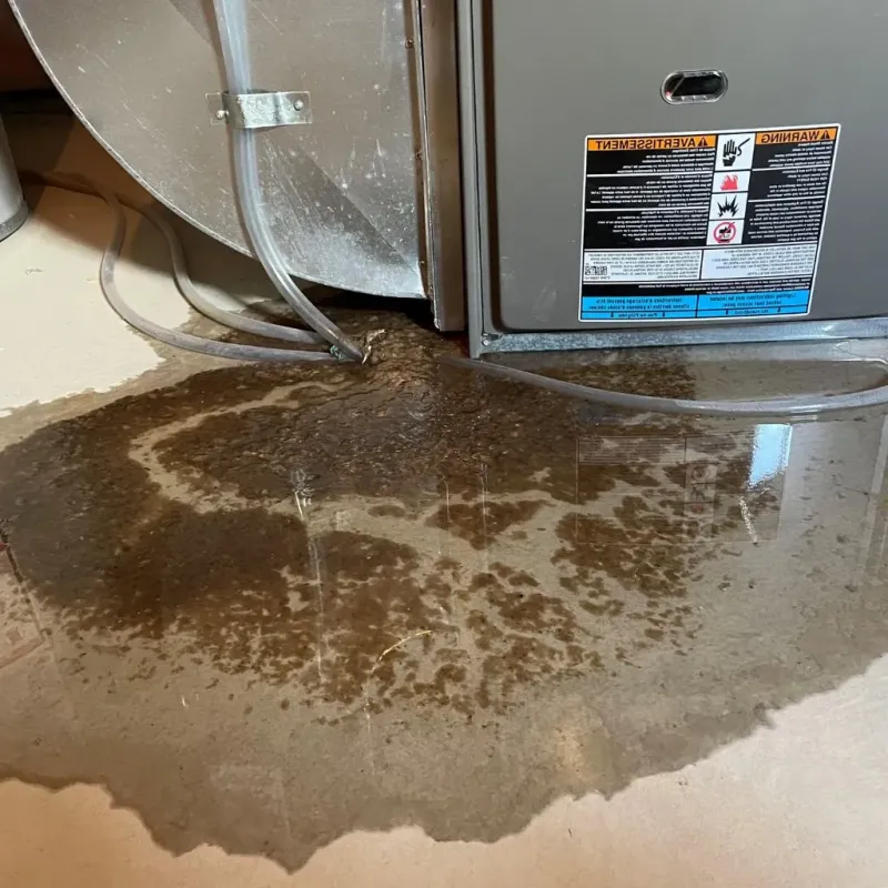 Pipe Burst and Leak Restoration in North Bennington, VT