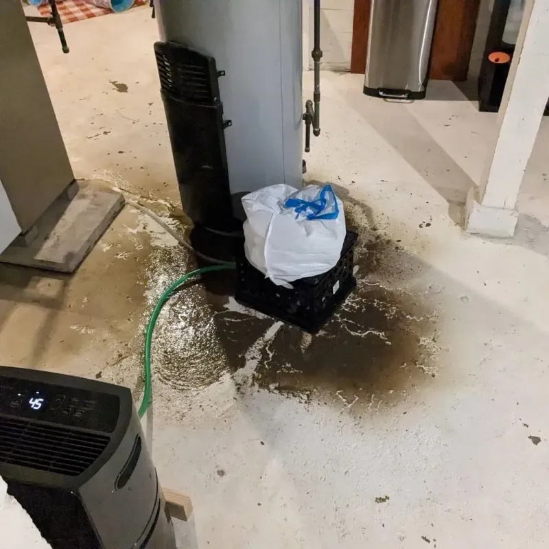 Sewage Backup Cleanup Service in North Bennington, VT